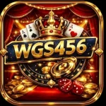 WGS456 Game