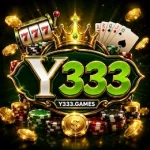 Y333 Game