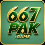 667PAK Game