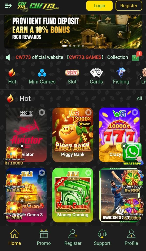CW773 Game