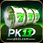 Pk11 Game