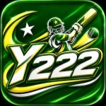 Y222 Game